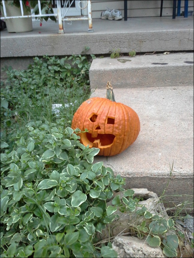 20141019_183820.jpg