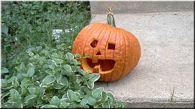 20141019_183820.jpg