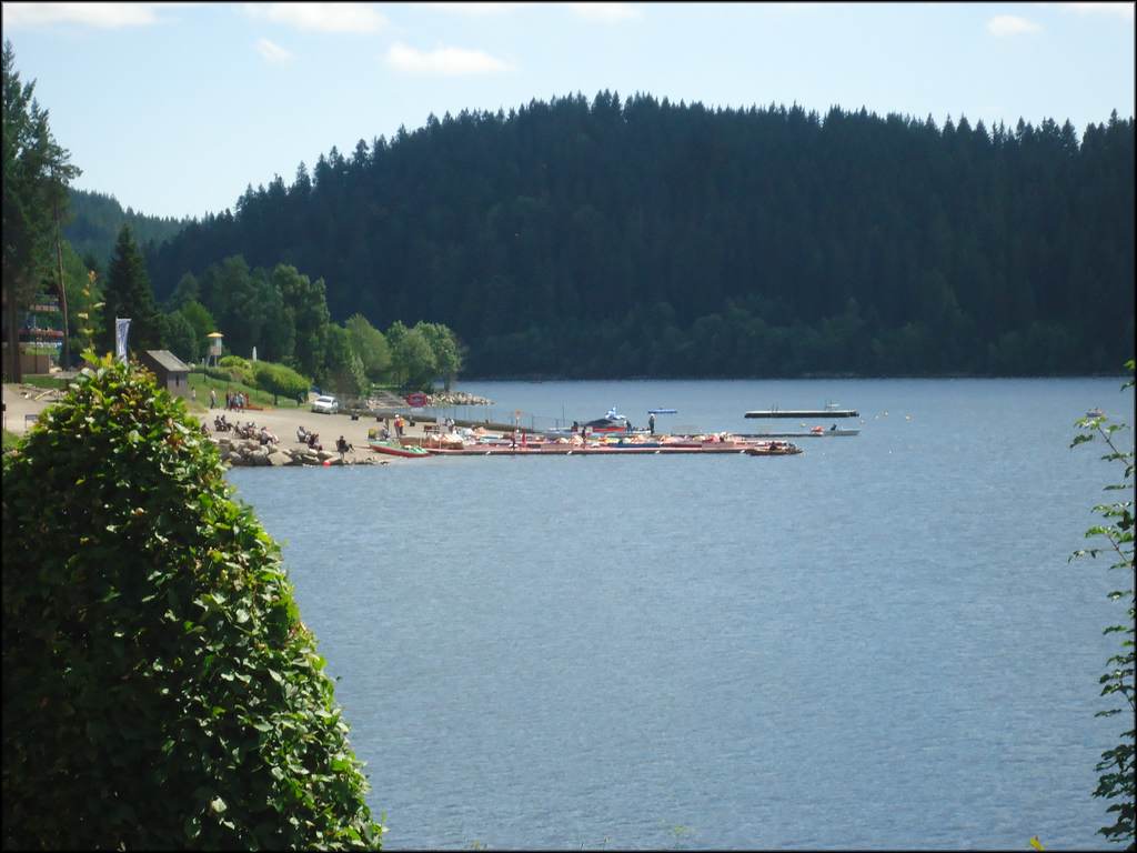 DSC02001.JPG