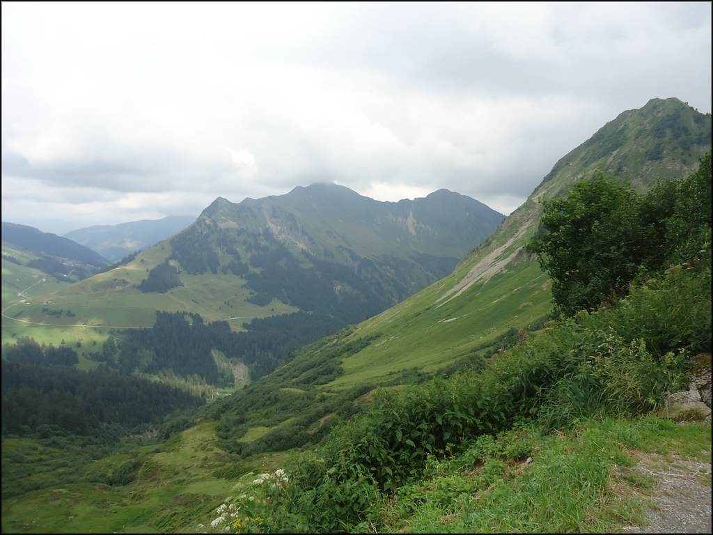 DSC02112.JPG