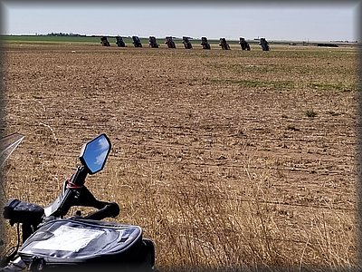 caddy ranch.jpg