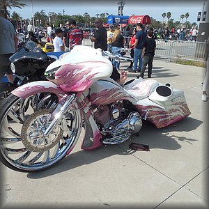 DSCN0549.JPG