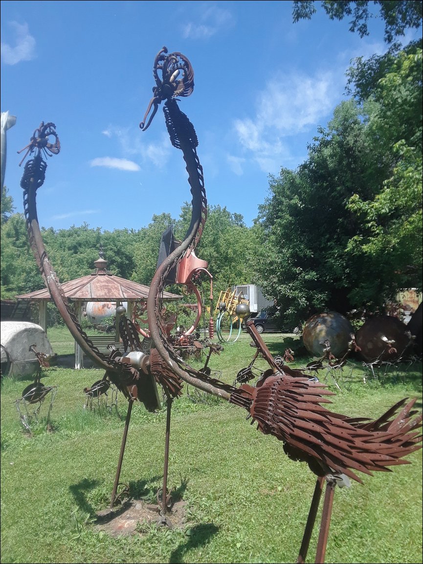 20180611_125217.jpg