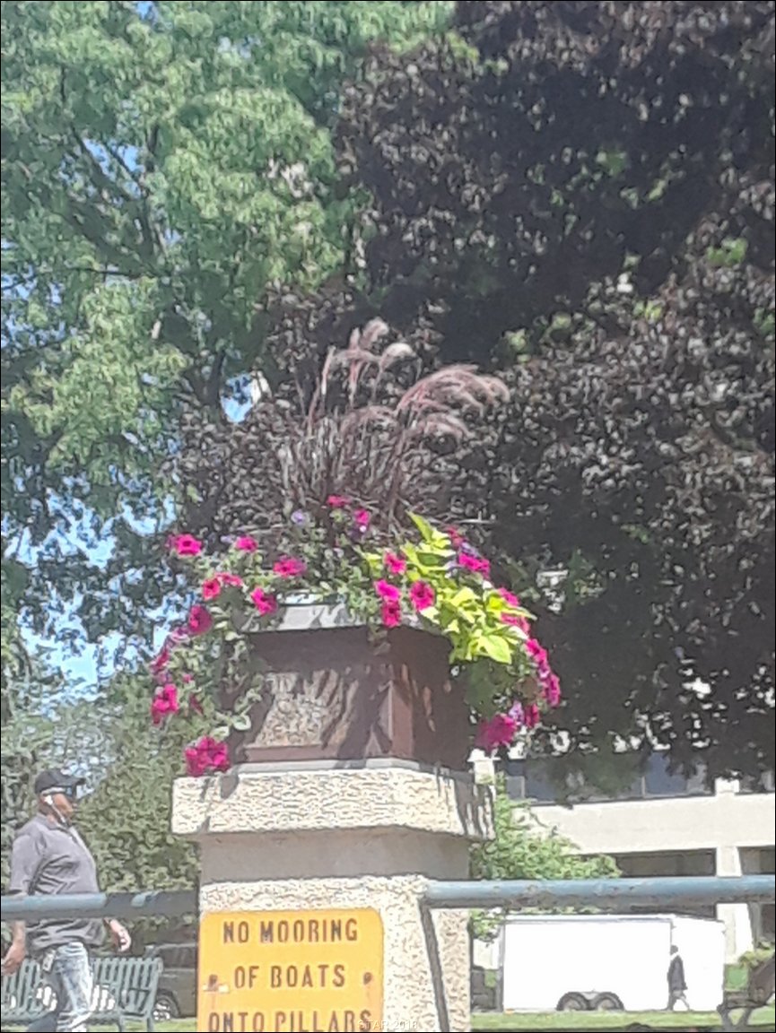 20180613_145327.jpg