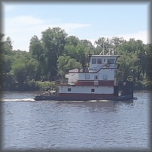 20180613_145126.jpg