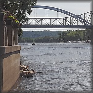 20180613_145210.jpg