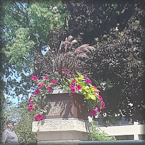 20180613_145327.jpg