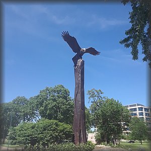 20180613_145801.jpg