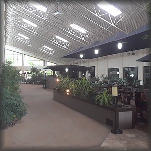 20180614_143606.jpg
