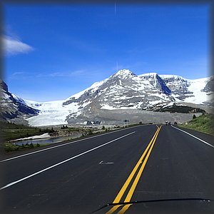 Jasper_NP_#2.JPG