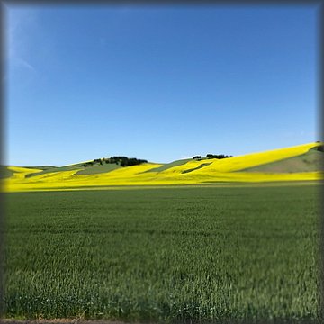 CHPT3EasternWashington.jpg
