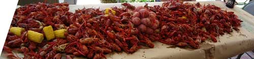 CrawfishThb.jpg