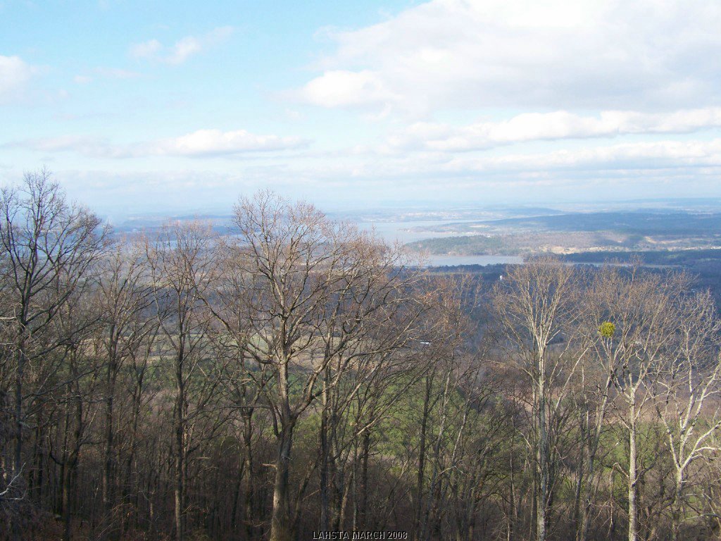 100_0121.jpg