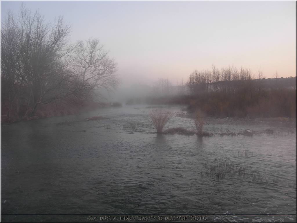 DSCN7116.JPG