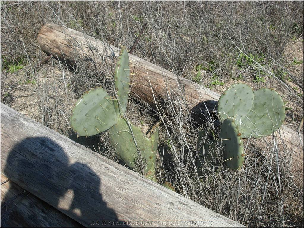 DSCN7159.JPG