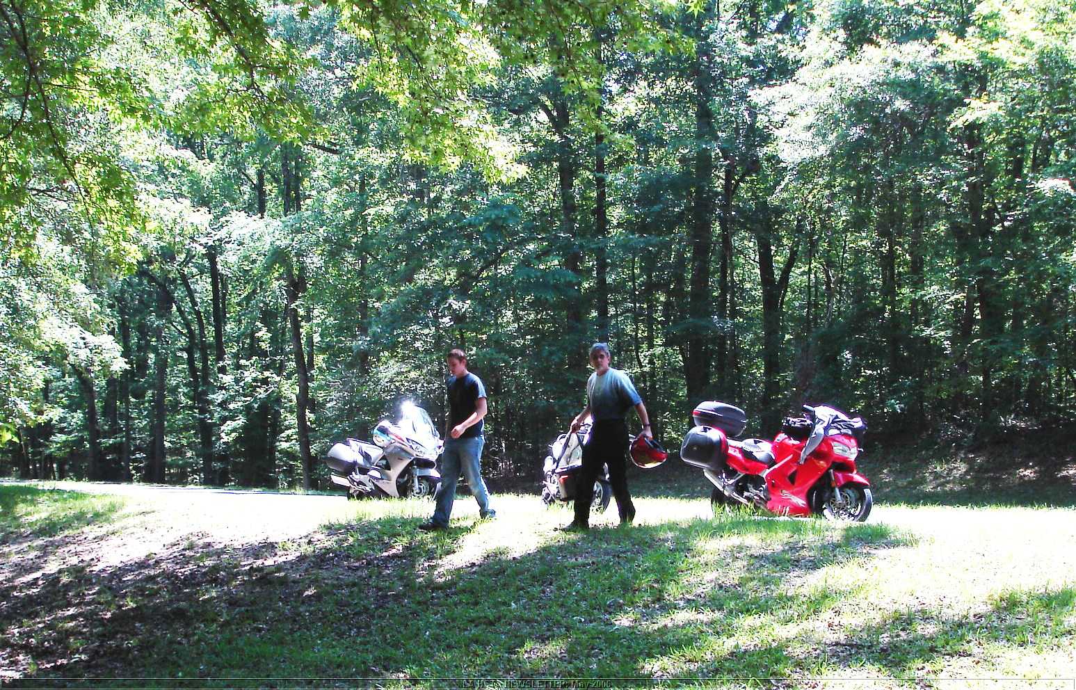 NT_PICNIC04.jpg