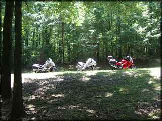 NT_PICNIC01.jpg