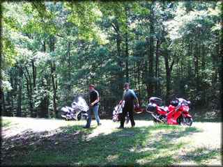 NT_PICNIC04.jpg