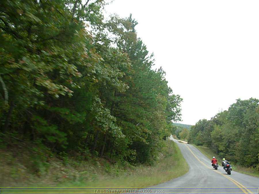 fofride3.jpg
