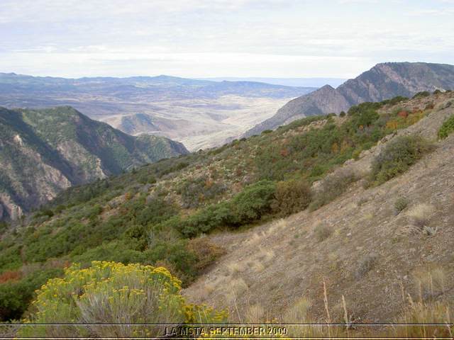 PICT5194.jpg